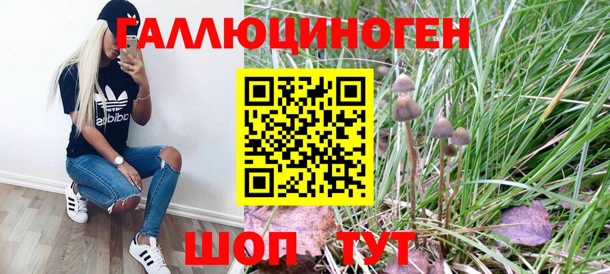 Псилоцибиновые грибы MAGIC MUSHROOMS  Вход с VPN  Краснокаменск 