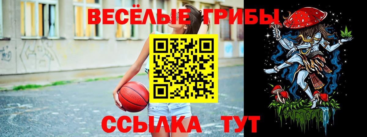 Галлюциногенные грибы мухоморы Краснокаменск